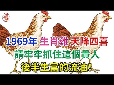 1969年屬雞運勢|不同年份屬雞人的「一生運勢」，1969年的准到離譜！你家有。